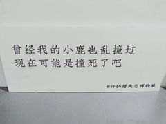 -成都失恋馆