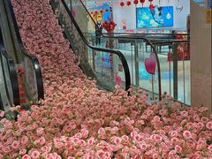 -洋洋广场(南街店)