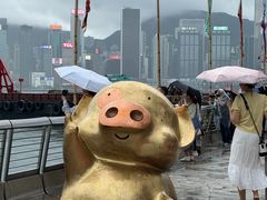 -星光大道
