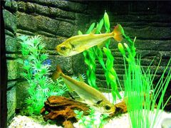 -上海海洋水族馆