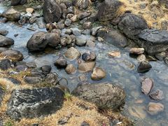 -白塘生态植物园