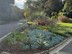 -墨尔本皇家植物园
