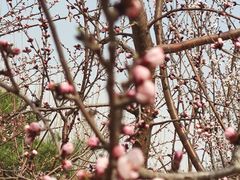 -元大都城垣遗址公园