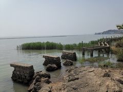 -苏州太湖国家湿地公园