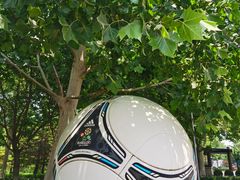 -大兴滨河森林公园