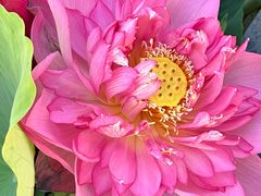 -苏州河梦清园环保主题公园