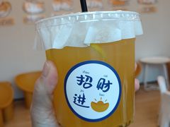 -有喵·猫咖·狗咖·40+猫狗有小奶狗(岗厦店)