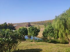 -合肥滨湖国家森林公园