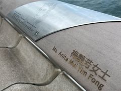 -星光大道