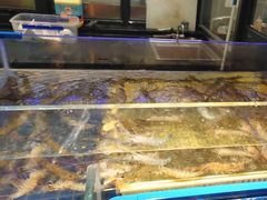-锅儿欢海鲜火锅烤肉自助餐(东港凯虹店)