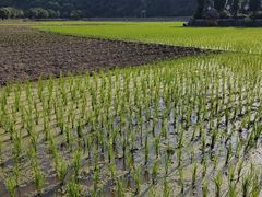-绩溪龙川景区
