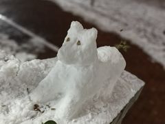 -山东大学(软件园校区)