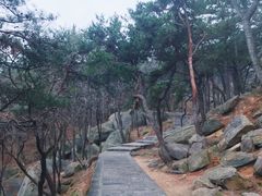 -崂山仰口游览区