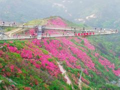 -木兰云雾山