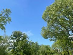 -九里河湿地公园