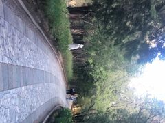 -蝴蝶泉公园