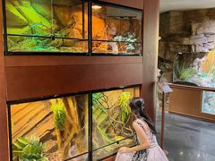 -帕帕拉兹宠物(亚洲旗舰店)