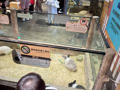 -姑苏二十四集(iD PARK 歌林公园店)