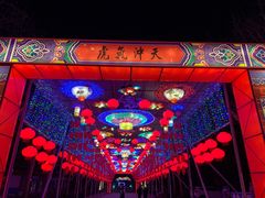 -淄博花灯齐彩城