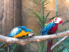 -杭州开元森泊度假乐园