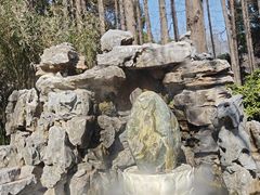 -上海醉白池公园