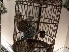 -小厨娘淮扬菜(六合欢乐港店)