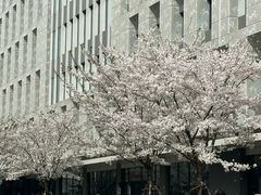 -上海市第十人民医院(总院)