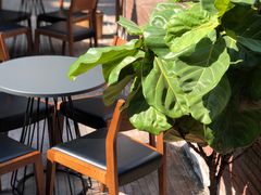 -大酉·M Coffee(北京美术馆店)