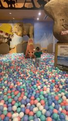 点击看大图 -卡通尼·Safari非洲探索乐园·生日会(金桥国际商业广场店)