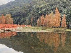 -广州市石门国家森林公园