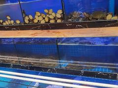 水产区-利杨记·本味轩粥坊·烧烤(宝体店)