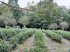 -杭州西湖风景名胜区-三生石