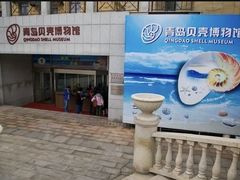 -青岛贝壳博物馆