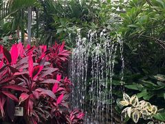 -呀路古热带植物园
