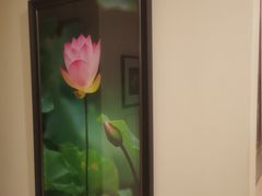 -东方大班·足道·采耳·疗愈SPA(丽都店)