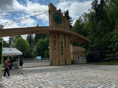 -五营红松林海景区