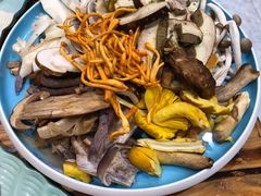 -菌之家·专业纯野生菌火锅·特色炒菌