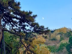 -香山公园