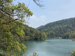 -桃花岭景区