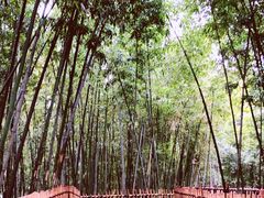 -乌镇东栅景区