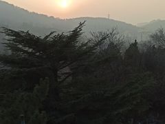 -南山公园