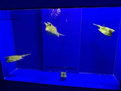 -石家庄海洋公园