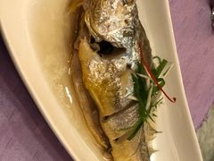 大帅黄鱼-张学良故居