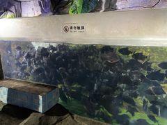-泉城欧乐堡海洋极地世界