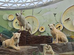 -陕西自然博物馆