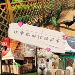 -萌宠亲子动物乐园(槐房万达店)