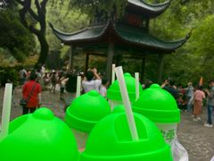 -柠季·手打柠檬茶(岳麓山登高路店)