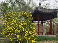 -元大都城垣遗址公园