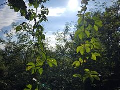 -香山公园
