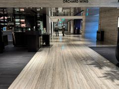-新加坡乌节希尔顿酒店 (SG Clean)